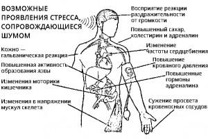 Звукоизоляция на страже вашего здоровья