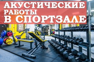 Необходимость проведения акустических работ в спортзалах