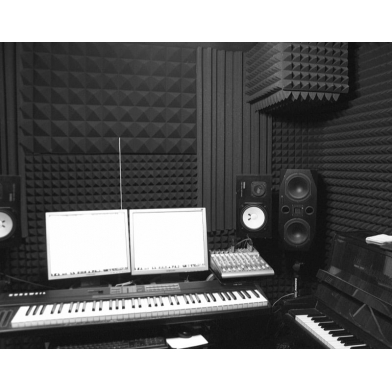 Купить акустический поролон ecosound пирамида 40мм 1мх1м цвет черный графит по низкой цене