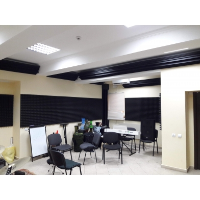 Купить демпфер-глушитель для барабанов ecosound "пила" 50х50см цвет черный графит по низкой цене