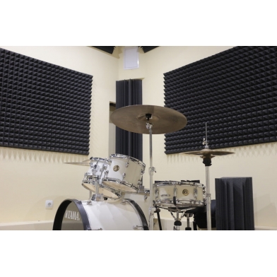 Купить панель из акустического поролона ecosound пирамида pyramid velvet black 250х250х25мм цвет черный графит по низкой цене